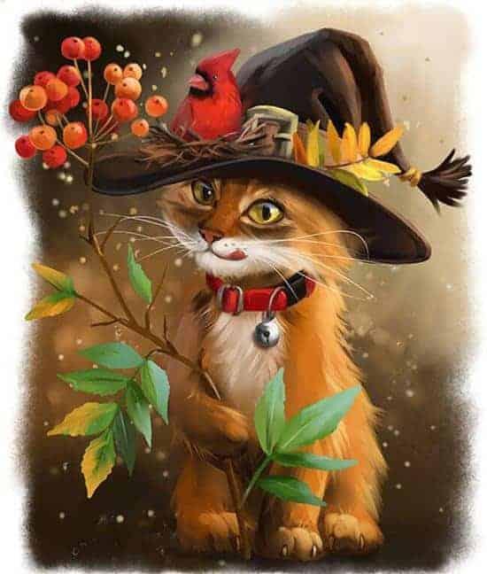 Diamond Painting Chat avec chapeau - SEOS Shop ®