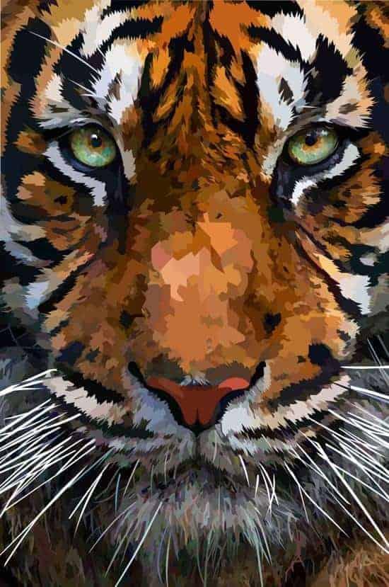 Diamond Painting Paquet Tête de Tigre Magnifique - SEOS Shop ®