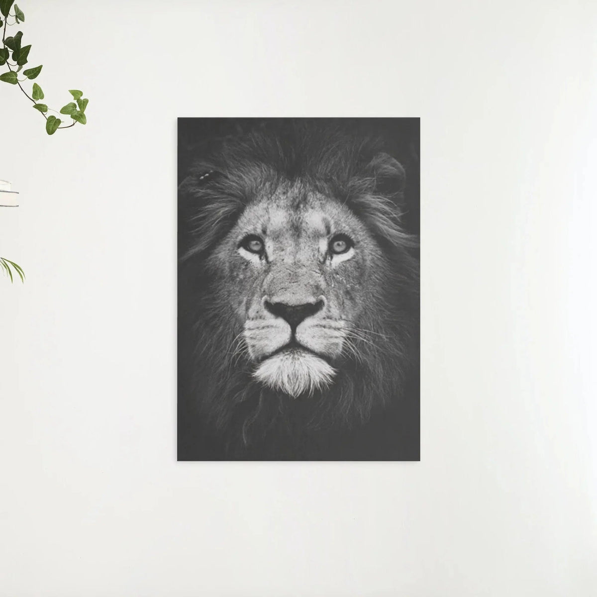 Diamond Painting Pakket Noir blanc lion - SEOS Shop ®