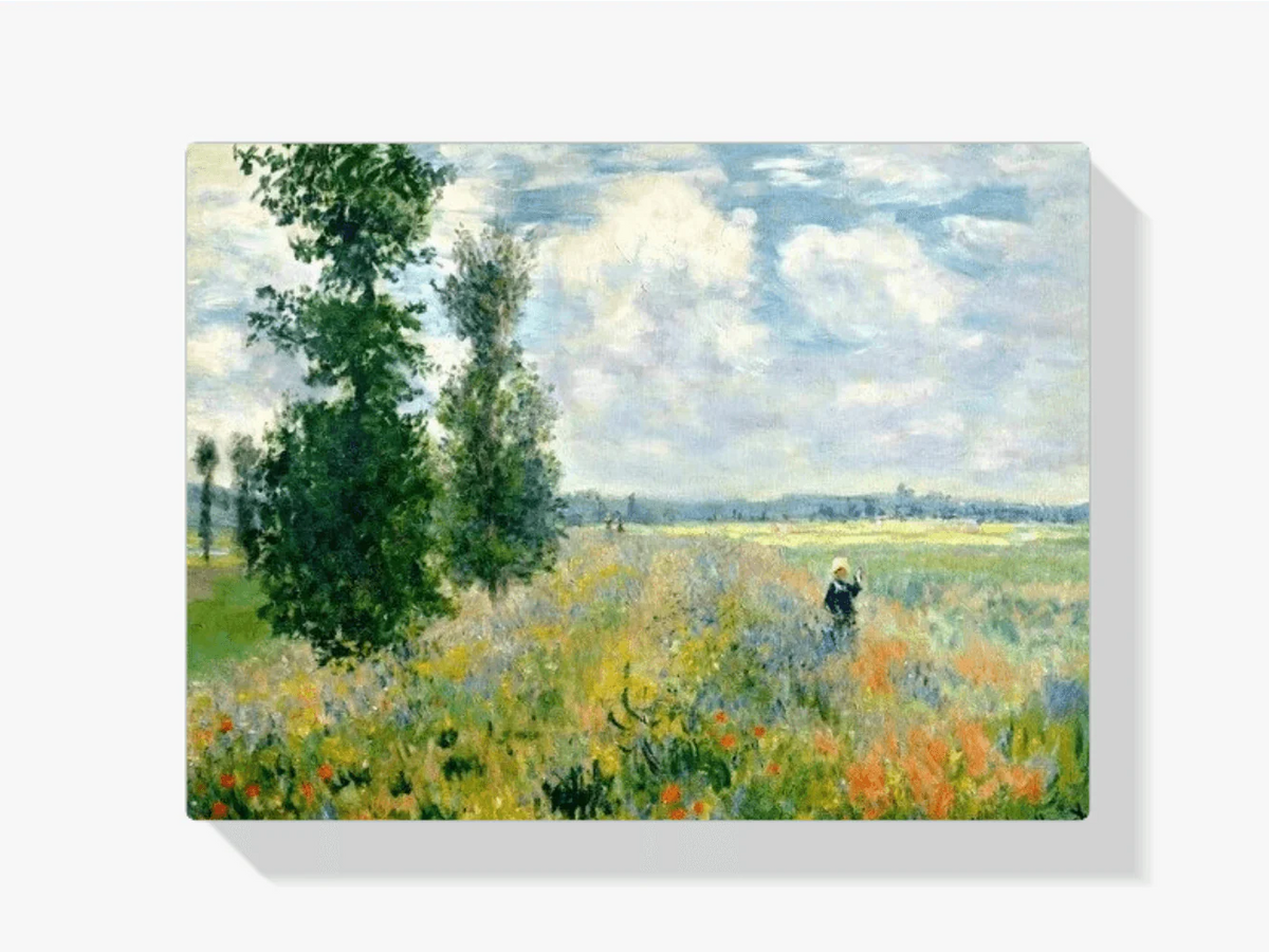 Diamond Painting Papavervelden à Argenteuil - SEOS Shop ®