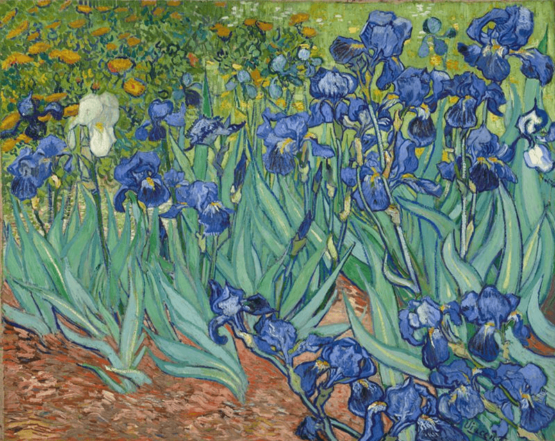 Diamond Painting Belles fleurs de Van Gogh - SEOS Shop ®