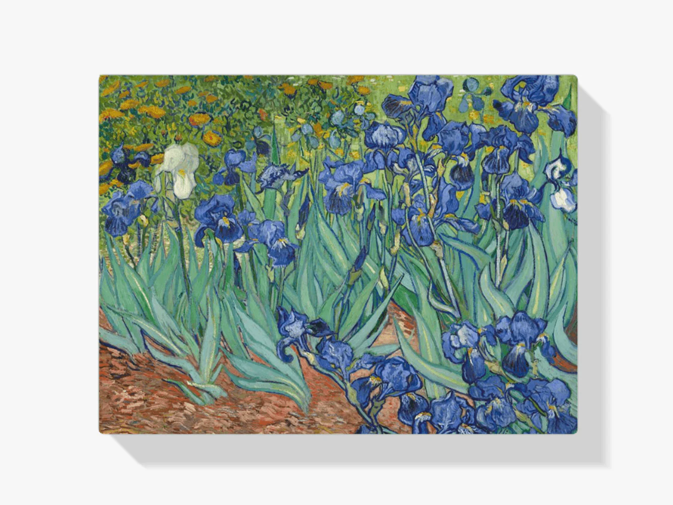 Diamond Painting Belles fleurs de Van Gogh - SEOS Shop ®