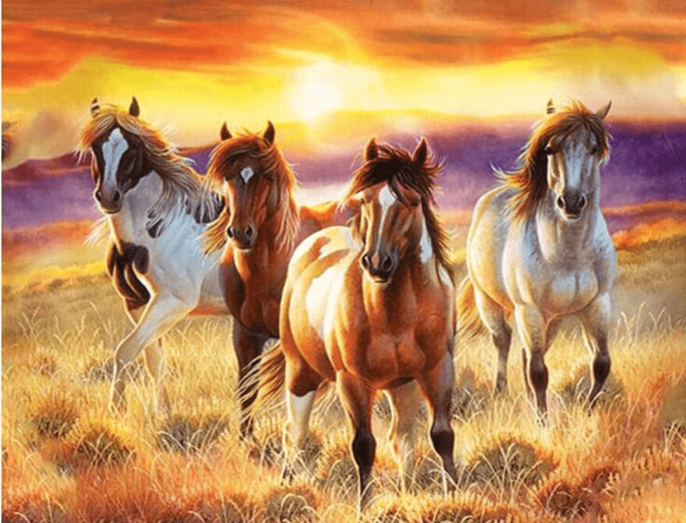 Diamond Painting Magnifiques chevaux dans un champ - SEOS Shop ®