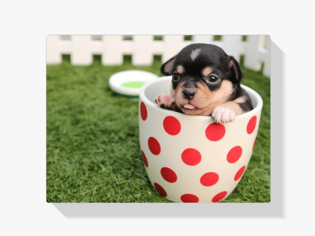 Diamond Painting Chiot dans une tasse 45x30 cm - SEOS Shop®