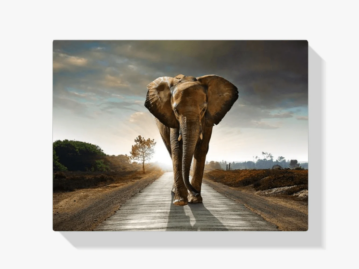 Diamond Painting Safari Éléphant - SEOS Shop ®
