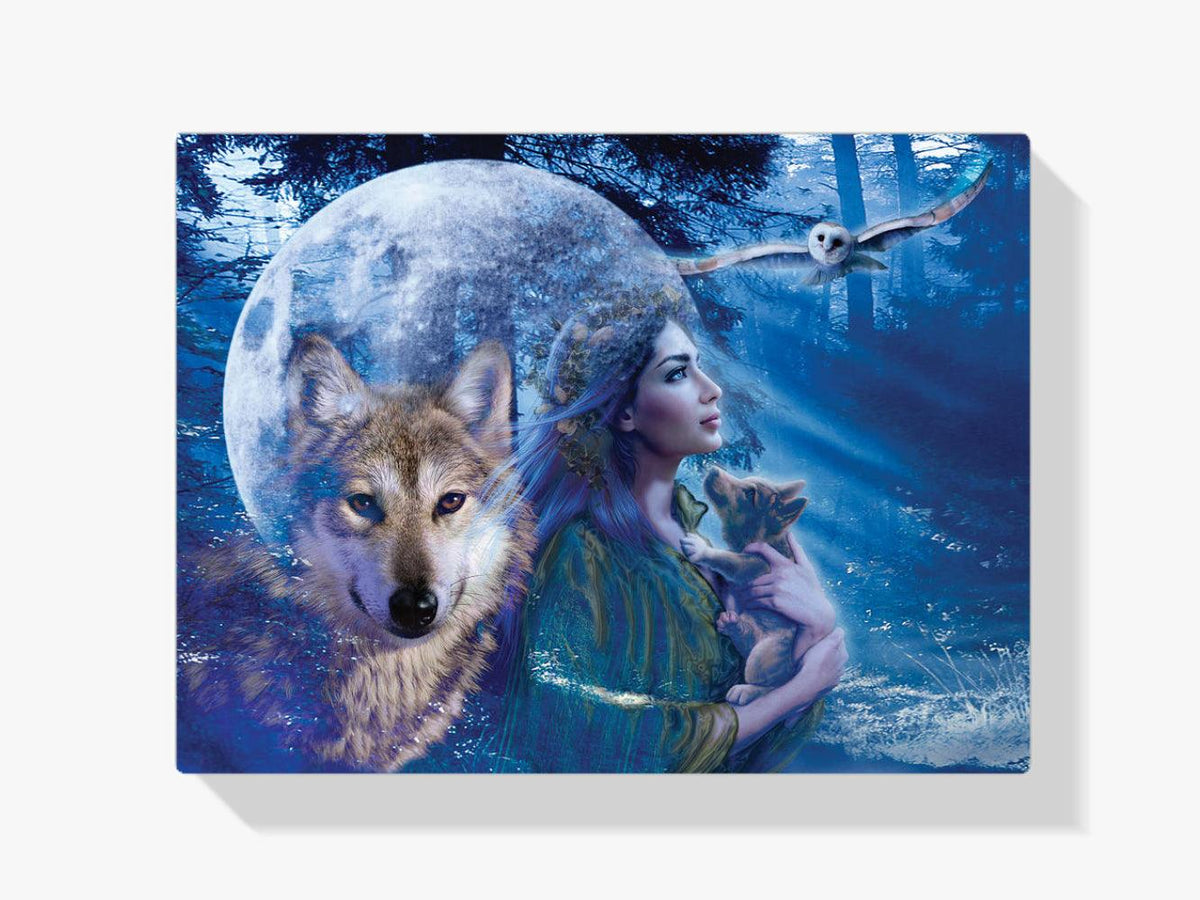 Diamond Painting Femme avec Loup et Hibou - SEOS Shop®