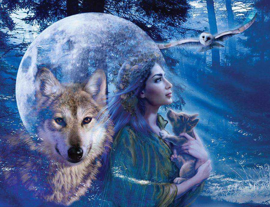 Diamond Painting Femme avec Loup et Hibou - SEOS Shop®