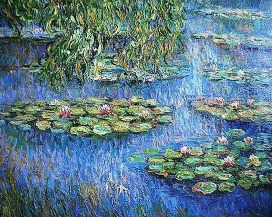 Diamond Painting Nénuphars - SEOS Shop ®