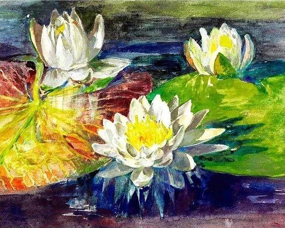 Diamond Painting Nénuphars rouges et verts - SEOS Shop ®