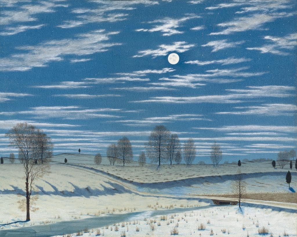 Diamond Painting - Scène d'hiver à la lumière de la lune - SEOS Shop ®