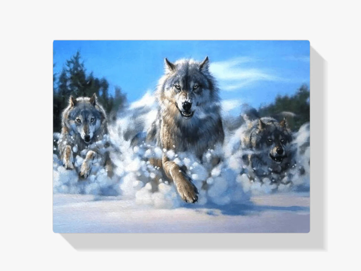 Diamond Painting Loups courant dans la neige – SEOS Shop ®