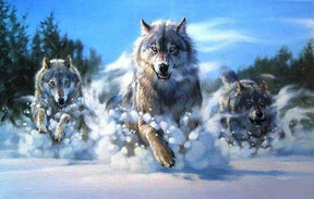 Diamond Painting Loups courant dans la neige – SEOS Shop ®