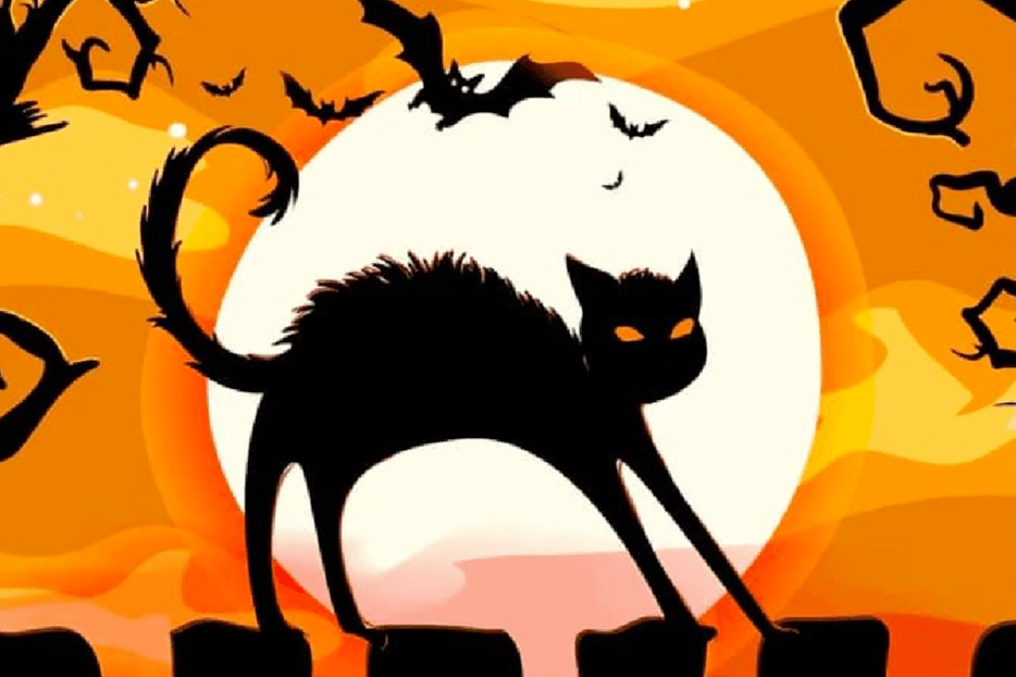 Diamond Painting Chat Noir Dans La Nuit - SEOS Shop ®