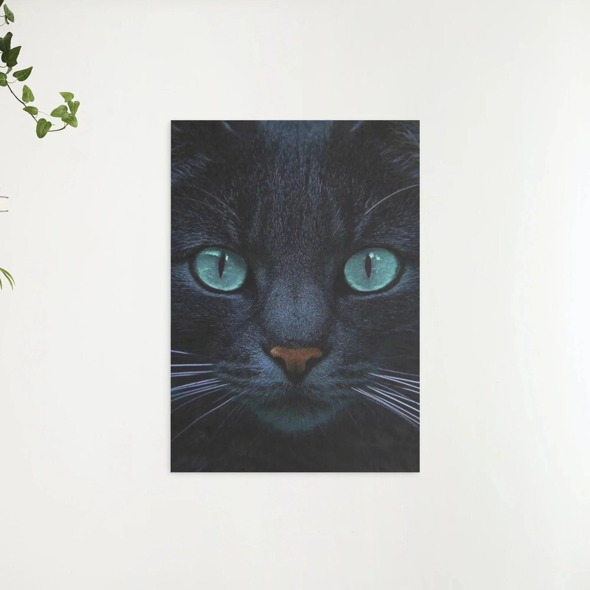 Diamond Painting Chat noir et yeux bleus - SEOS Shop ®