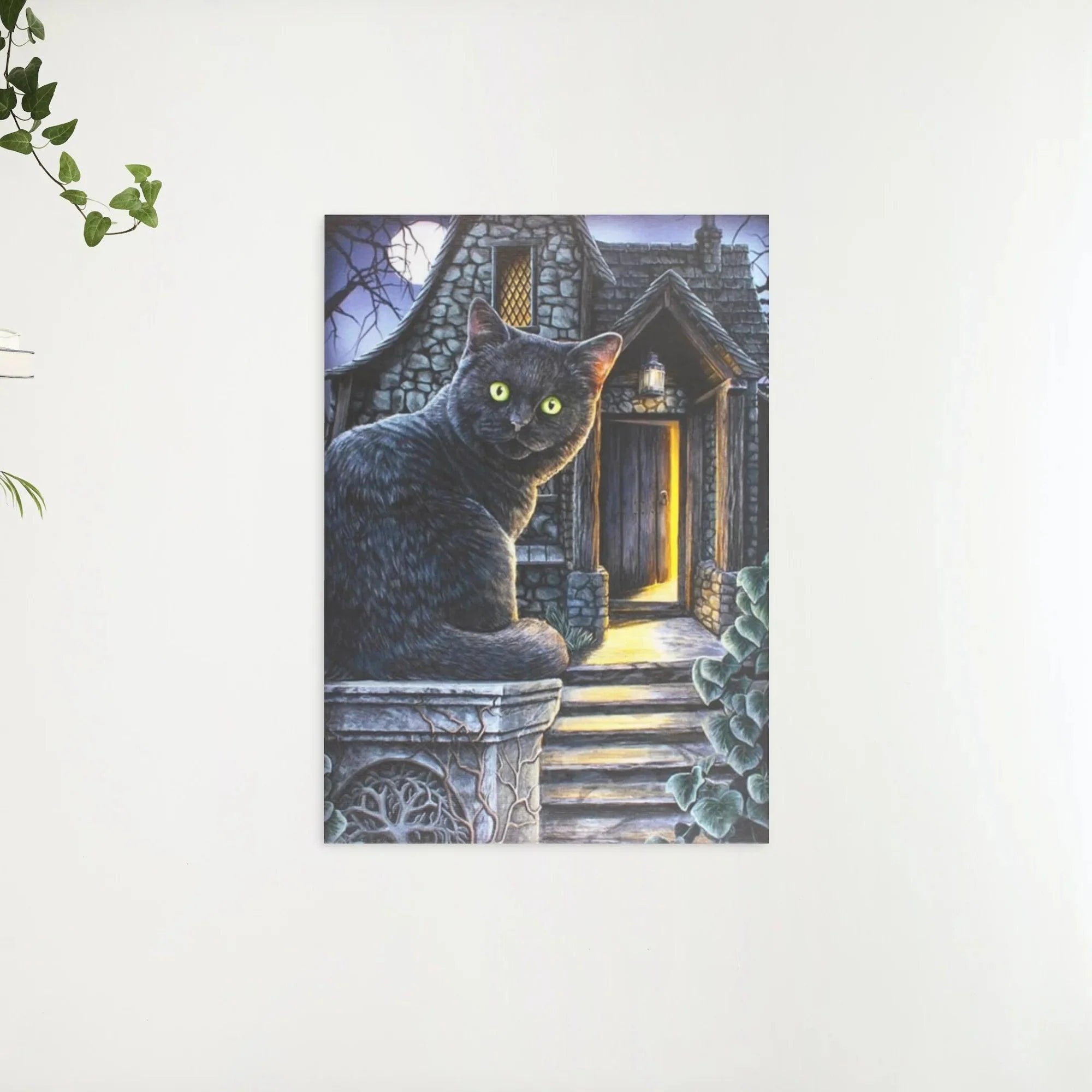 Diamond Painting Chat noir aux yeux verts - SEOS Shop ®