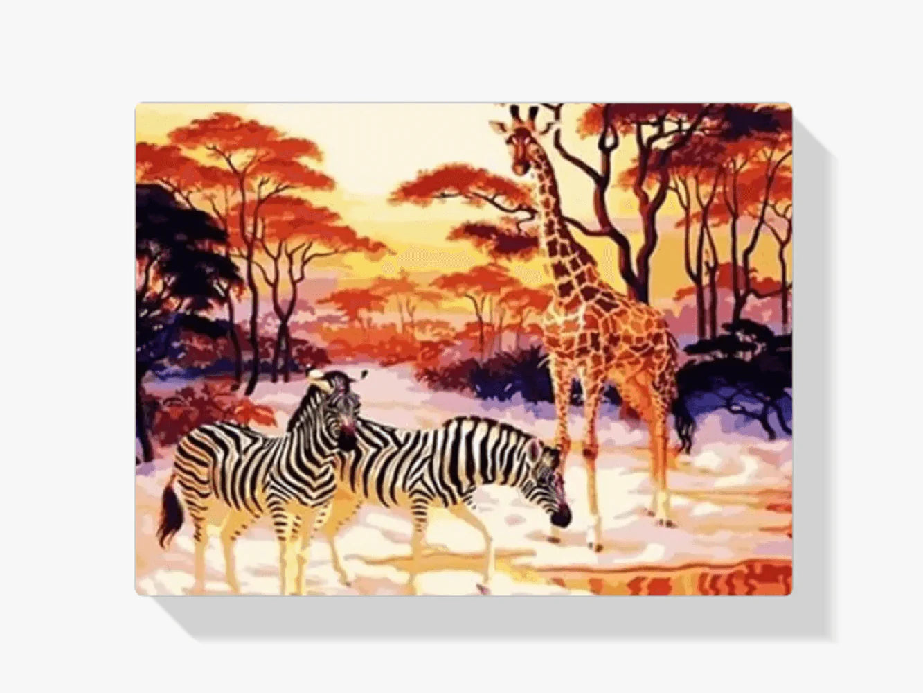 Diamond Painting - Afrique - SEOS Shop ®