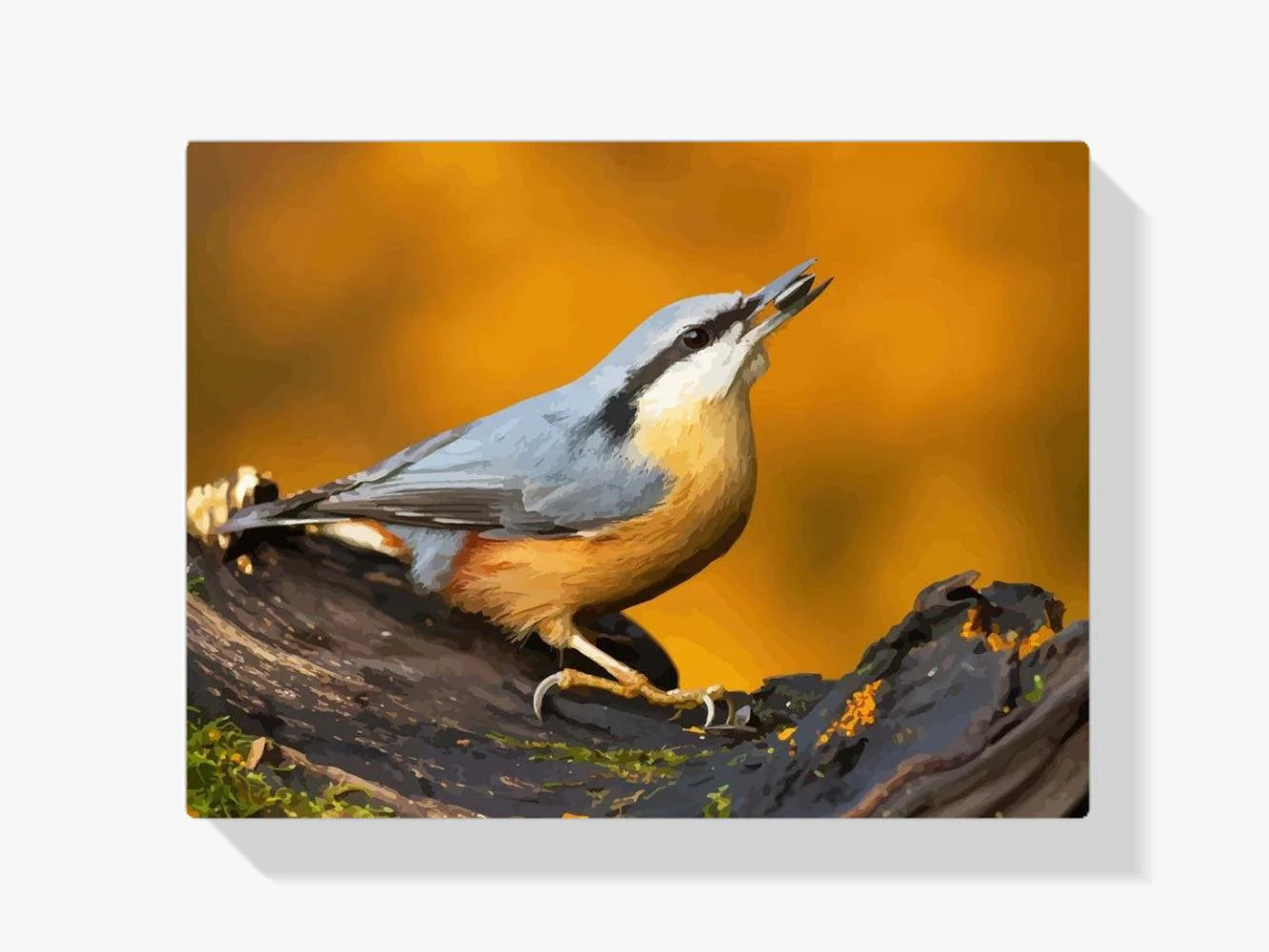 Diamond Painting - Pieuvre sur la branche - SEOS®