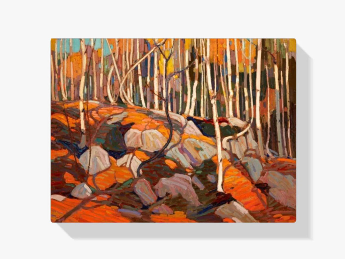 Diamond Painting - Le Birch Grove - SEOS Shop ®