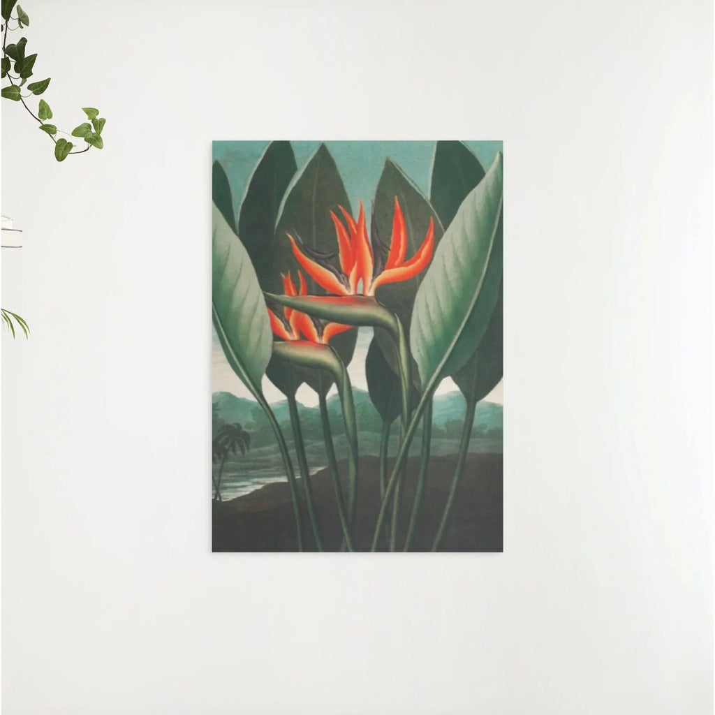 Diamond Painting - La Reine Plante - SEOS Shop ®