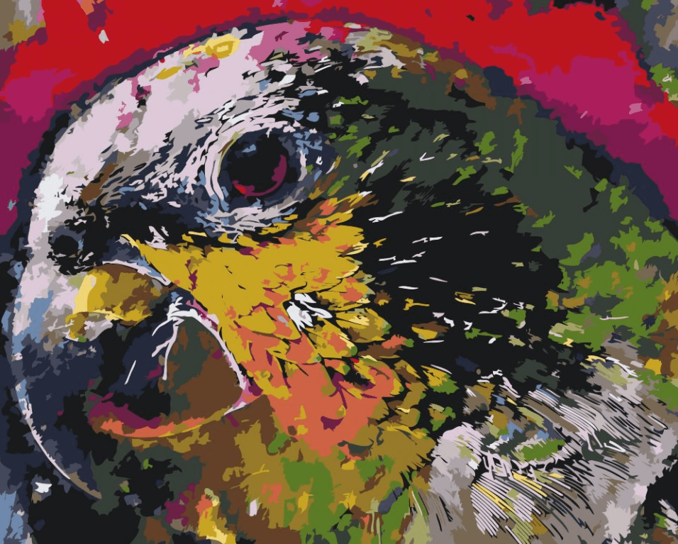 Diamond Painting - La tête d'un perroquet - SEOS®