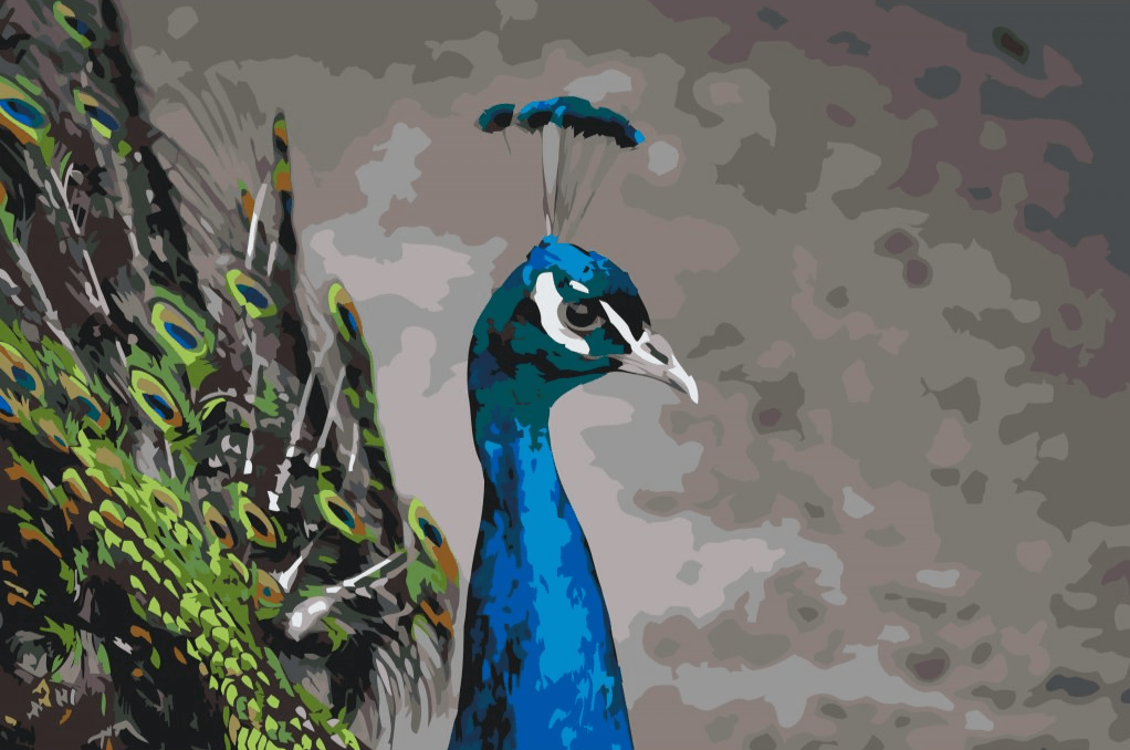Diamond Painting - Le majestueux paon - SEOS®