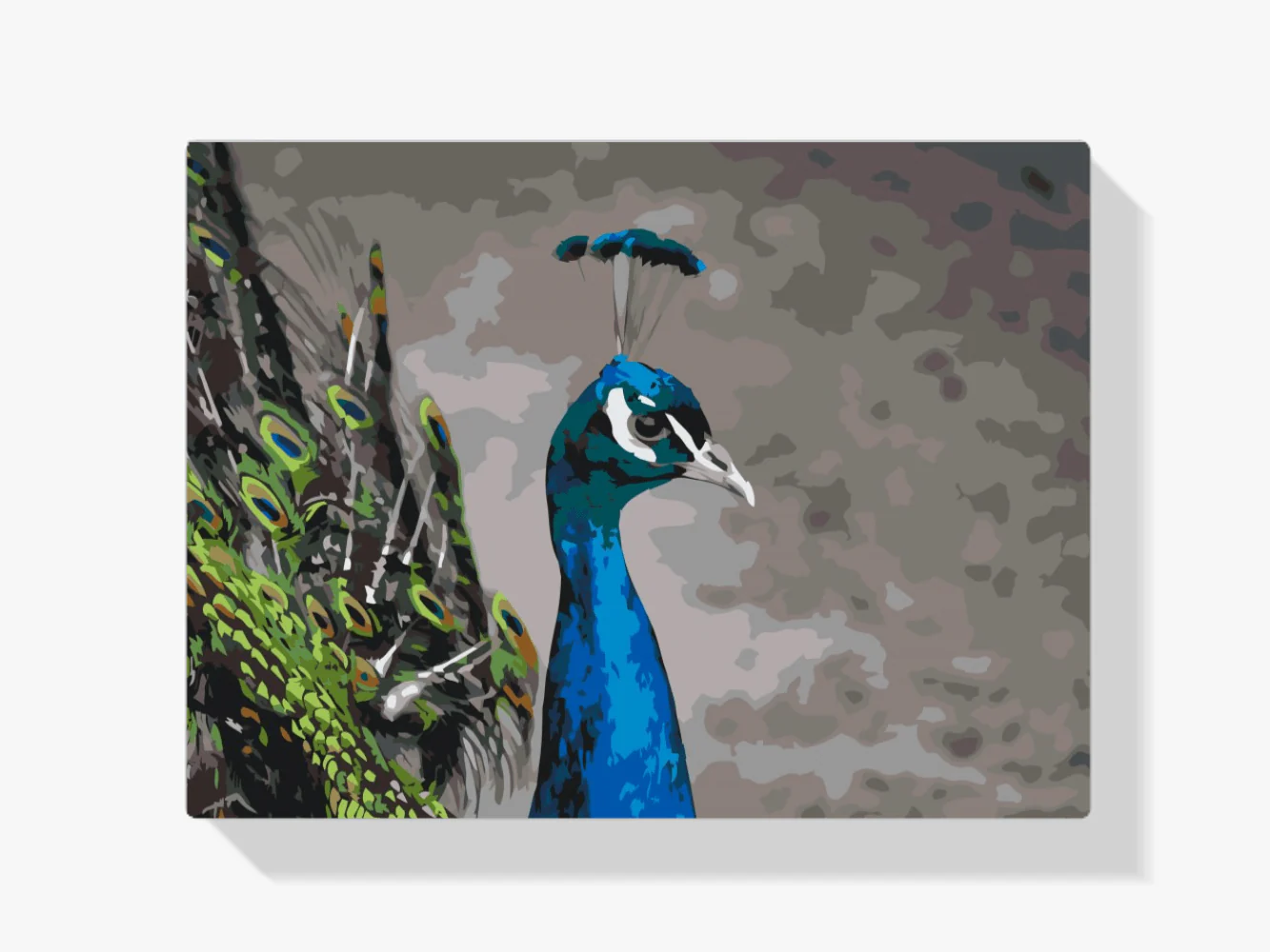 Diamond Painting - Le majestueux paon - SEOS®