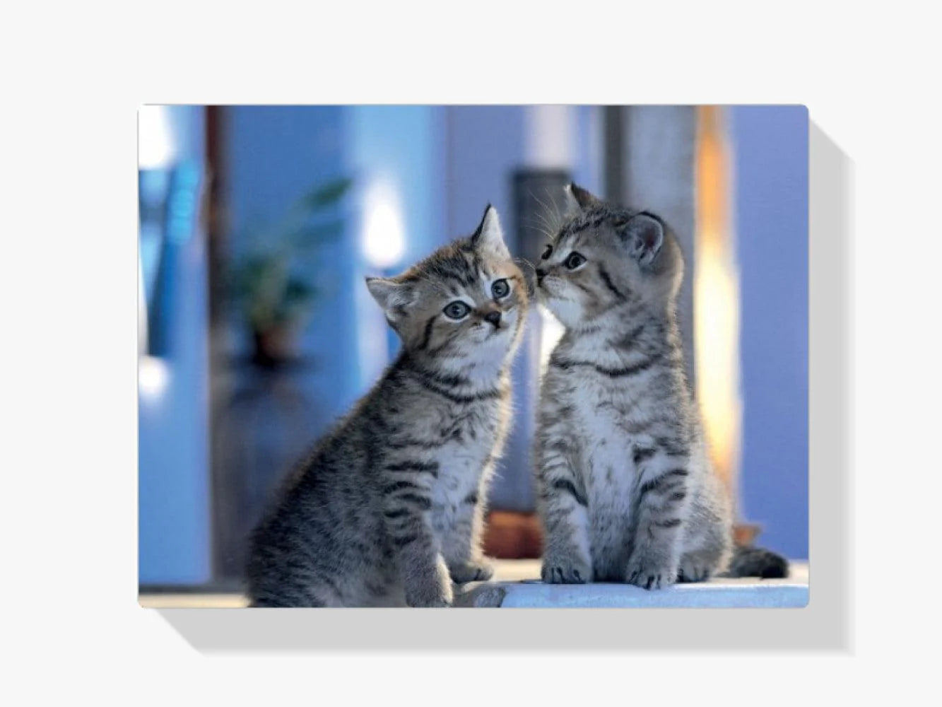 Diamond Painting - Famille Chats - SEOS®