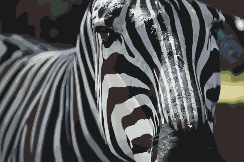Diamond Painting - Focus sur zèbre - SEOS®