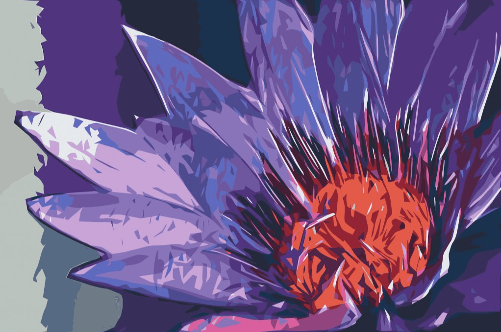 Diamond Painting - Fleur peinte - SEOS Shop ®