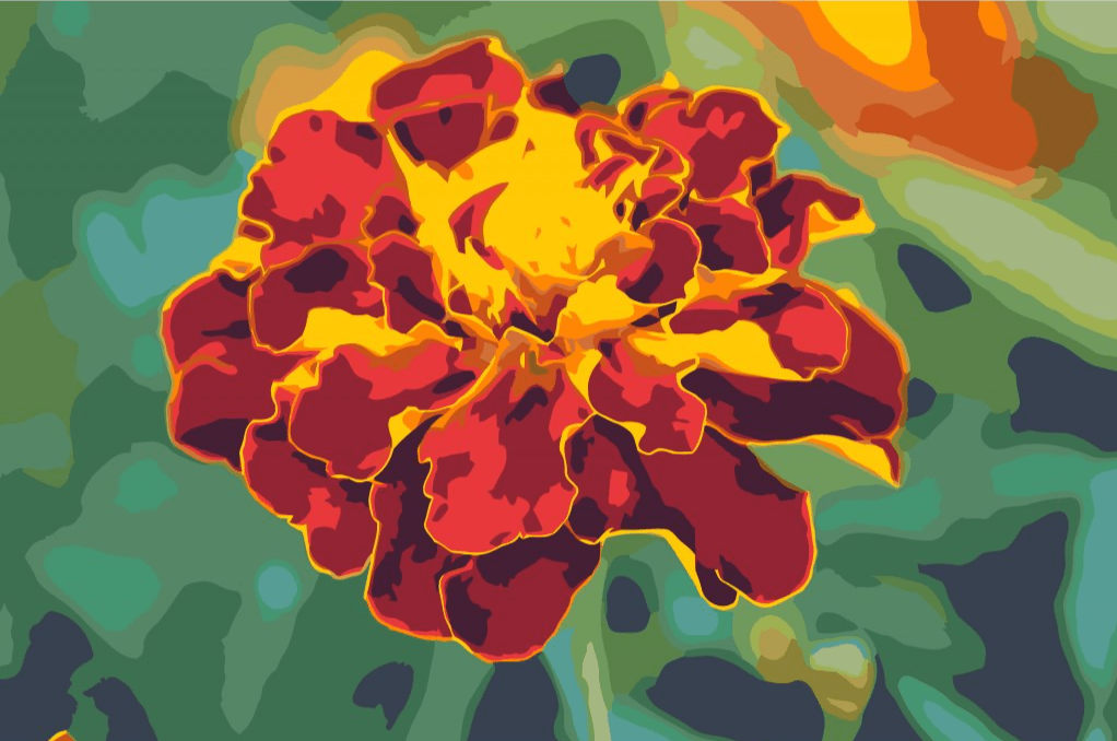 Diamond Painting - Souci - SEOS Shop ®