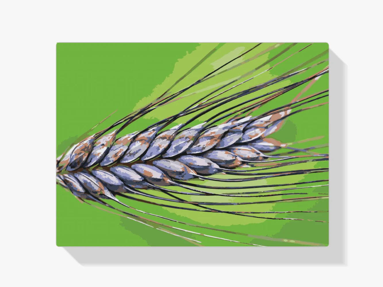 Diamond Painting - Grain - SEOS Shop ®