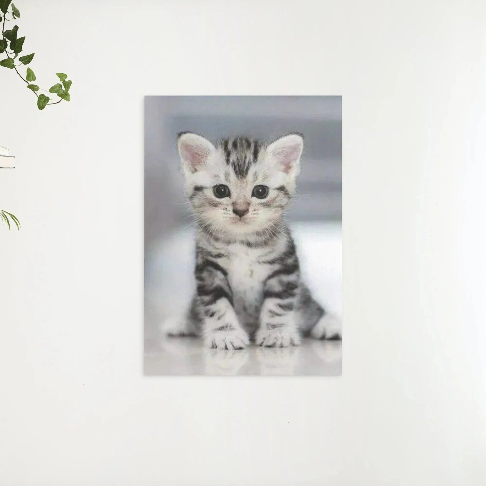 Diamond Painting - Chaton gris - SEOS®