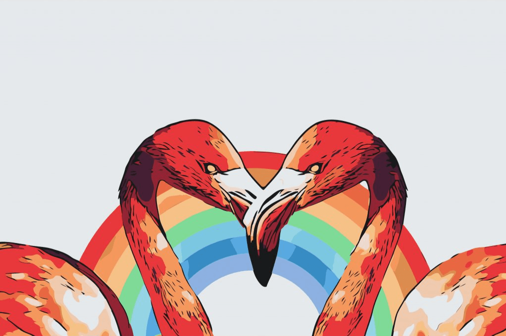 Diamond Painting - Flamants en forme de cœur - SEOS®