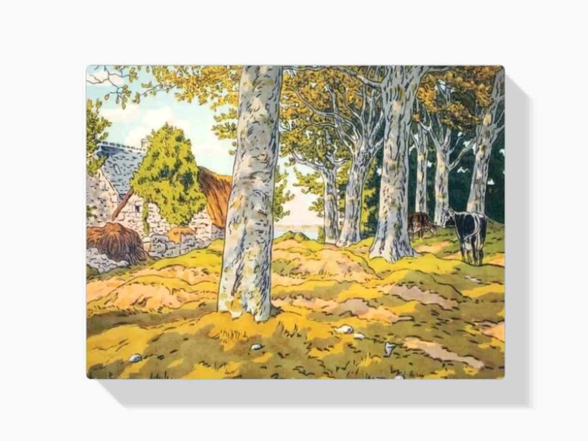 Diamond Painting - La Forêt de Hêtres - SEOS Shop ®