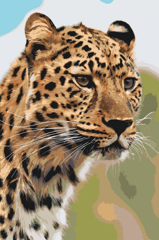 Diamond Painting - La vue de chasse d'une léopard - SEOS®