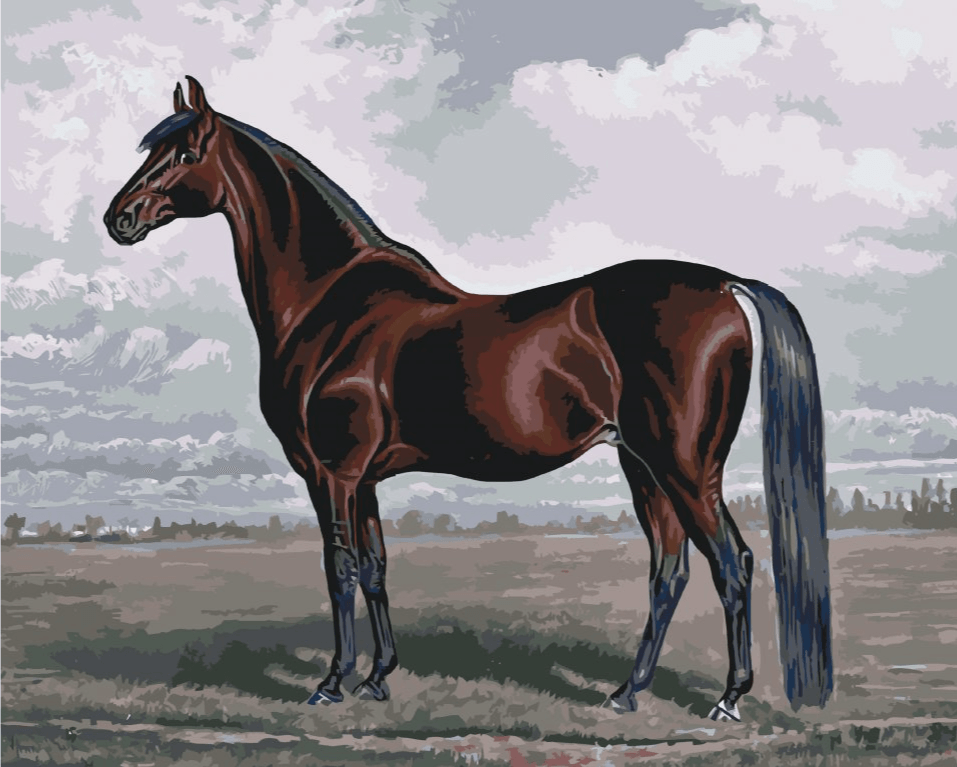 Diamond Painting - Le majestueux cheval - SEOS®