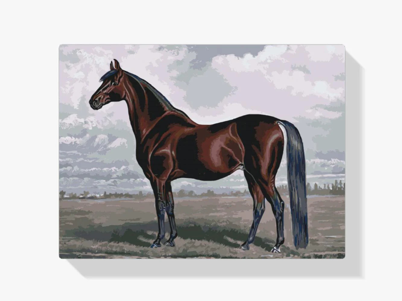 Diamond Painting - Le majestueux cheval - SEOS®