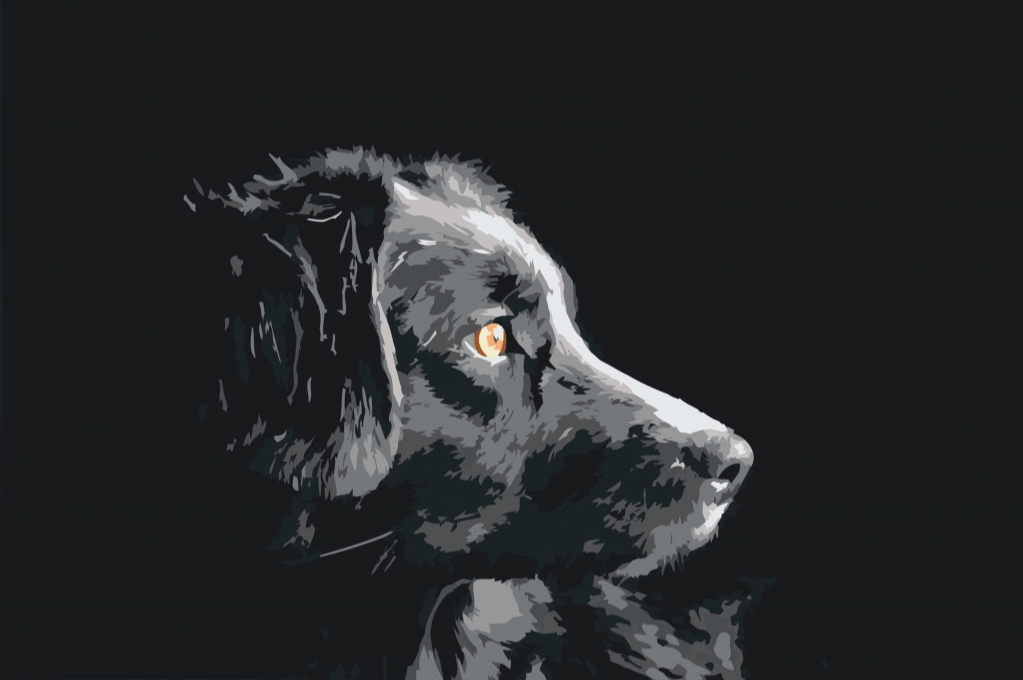 Diamond Painting - La vue du chien - SEOS®