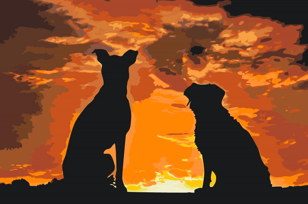 Diamond Painting - Amis des Chiens - SEOS®