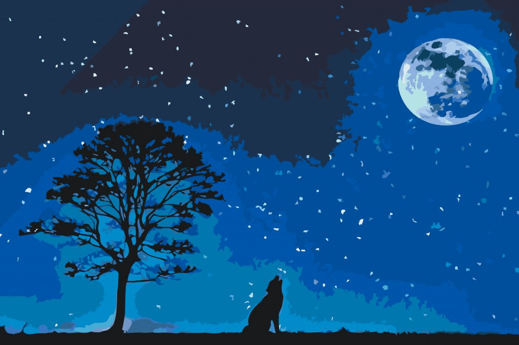 Diamond Painting - Chien en pleurs sous la pleine lune - SEOS®