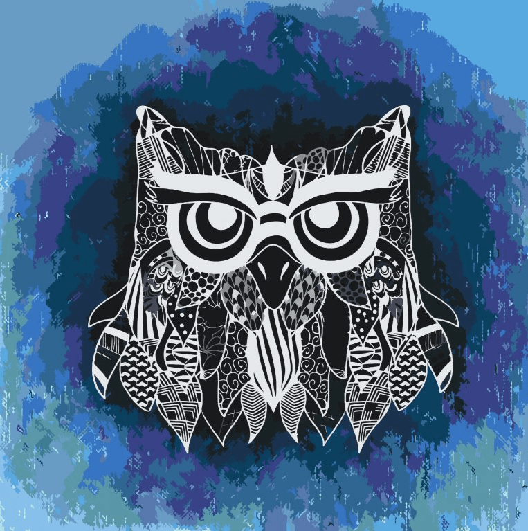 Diamond Painting - Illustration d'un hibou - SEOS®
