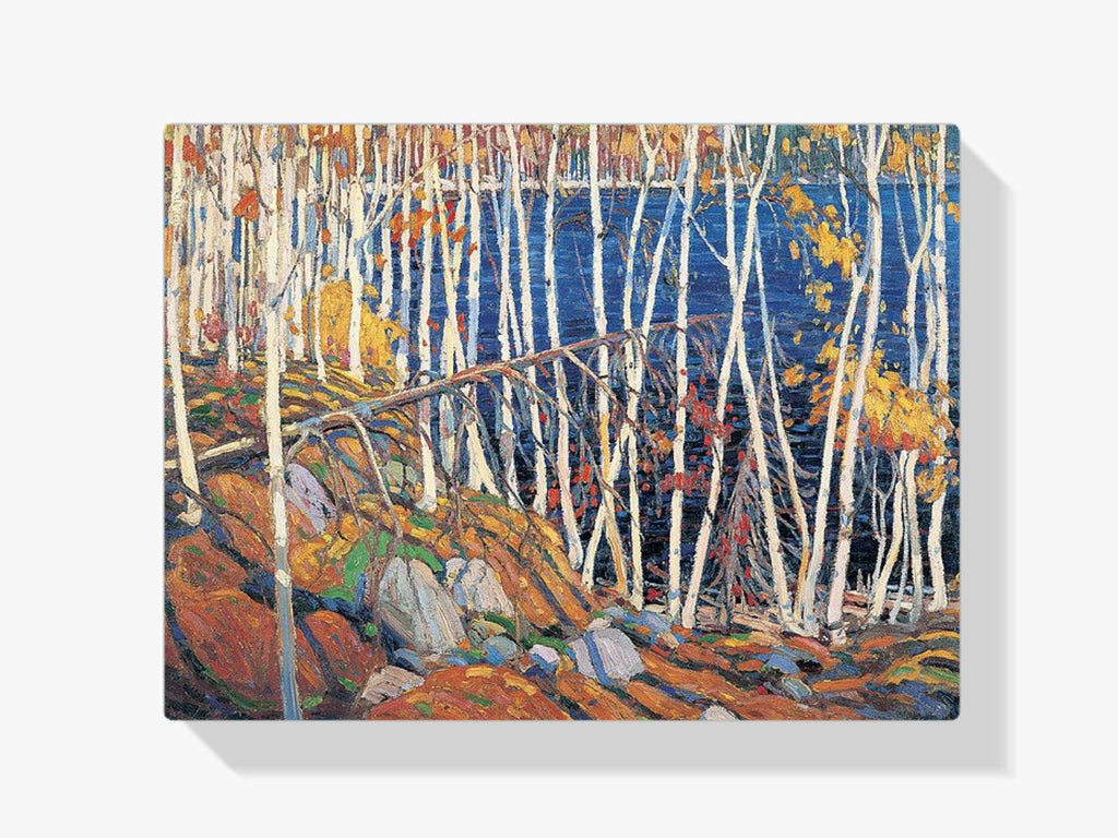 Diamond Painting - Dans le Northland - SEOS Shop ®