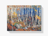 Diamond Painting - Dans le Northland - SEOS Shop ®