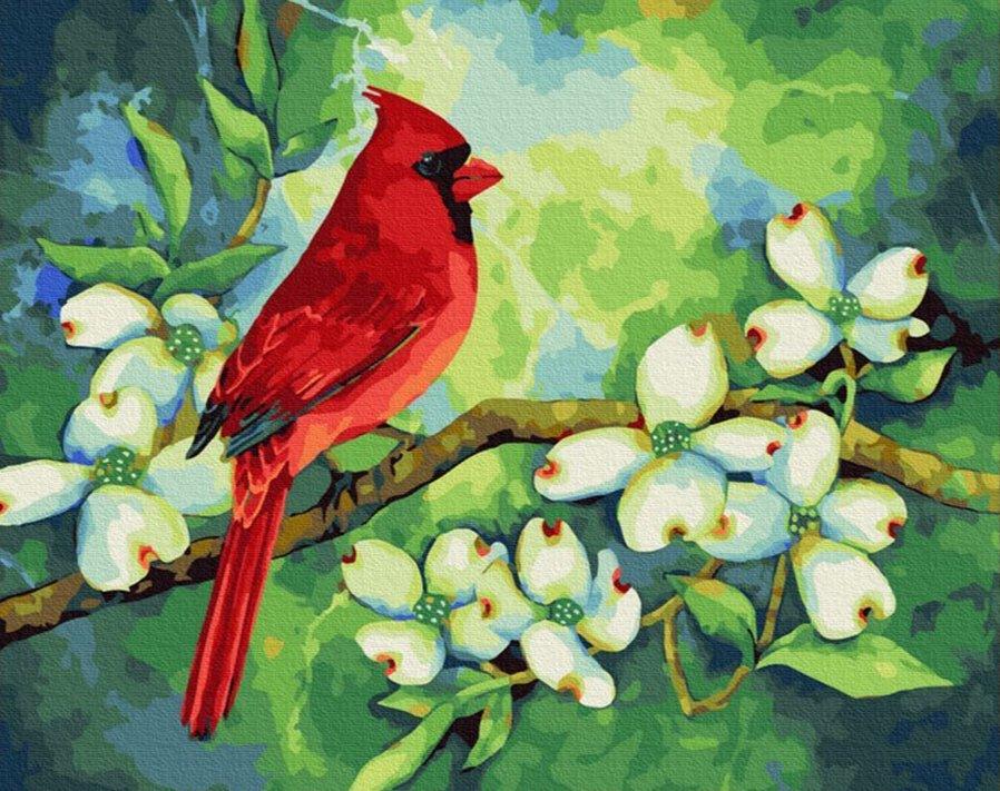 Diamond Painting - Cardinal - SEOS®