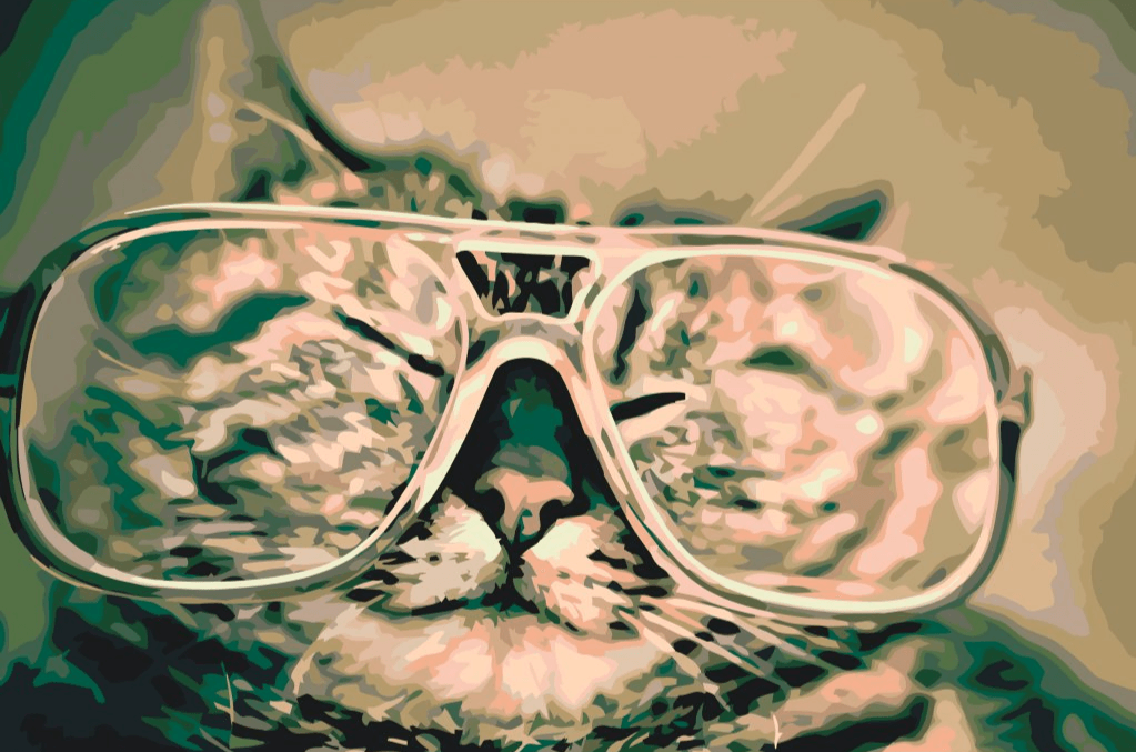 Diamond Painting - Chat avec lunettes - SEOS®