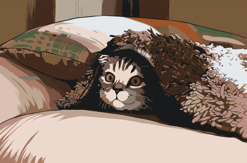 Diamond Painting - Chat sous l'oreiller - SEOS®