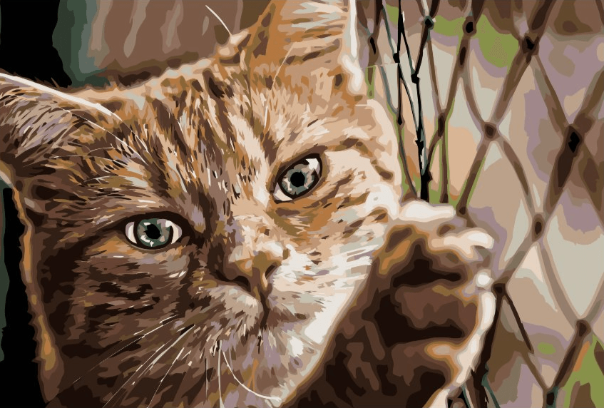 Diamond Painting - Chat sur la clôture - SEOS®