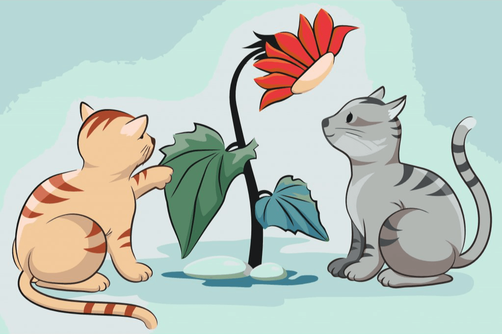 Diamond Painting - Chats et fleurs - SEOS®