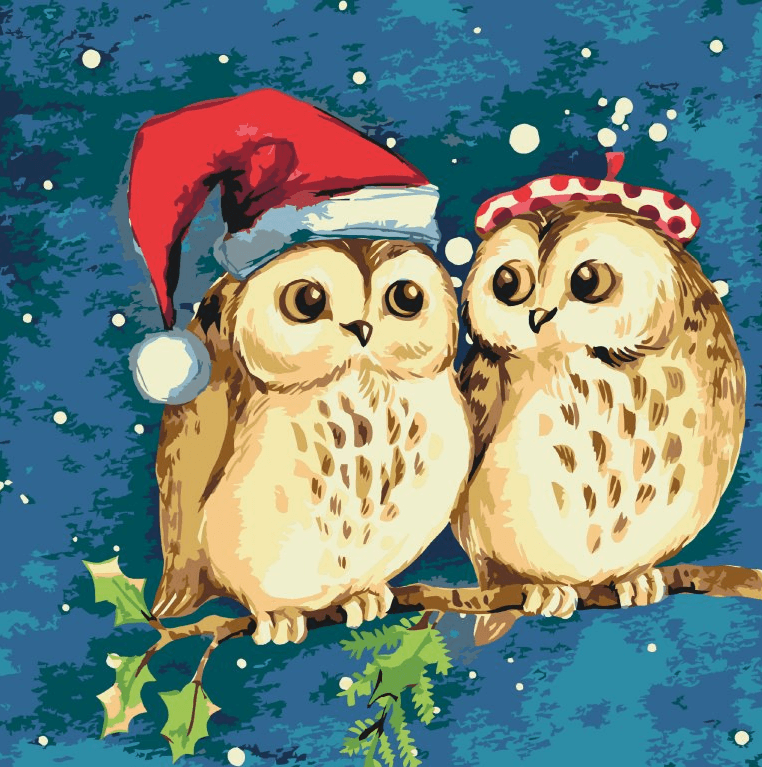 Diamond Painting - Hiboux de Noël - SEOS Shop ®