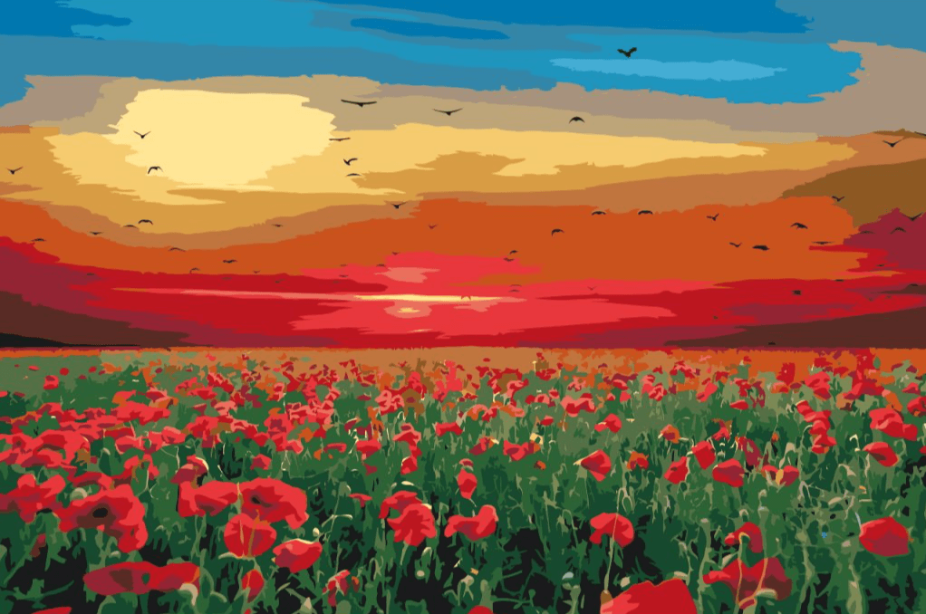 Diamond Painting - Champ de coquelicots au coucher du soleil - SEOS Shop ®